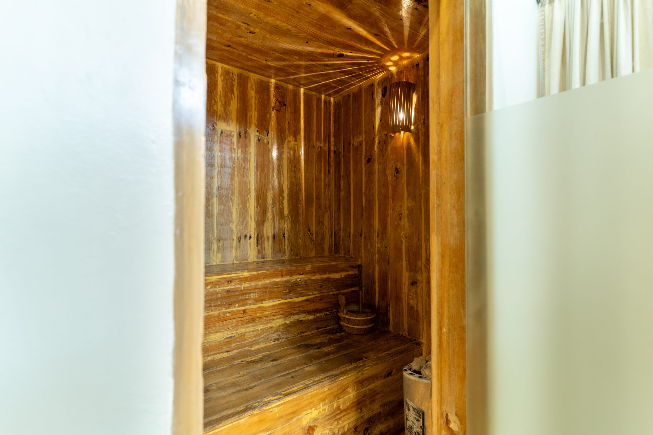 Cocoon(3)